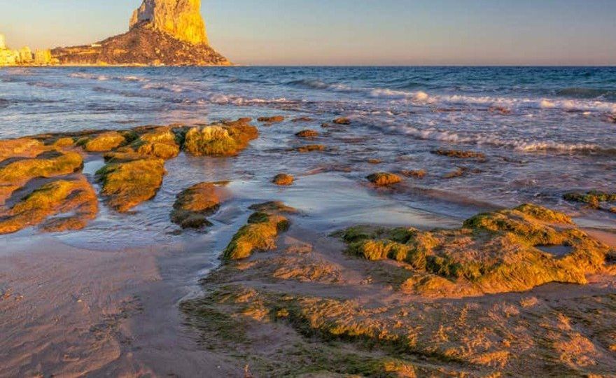 Paseo en catamarán al atardecer