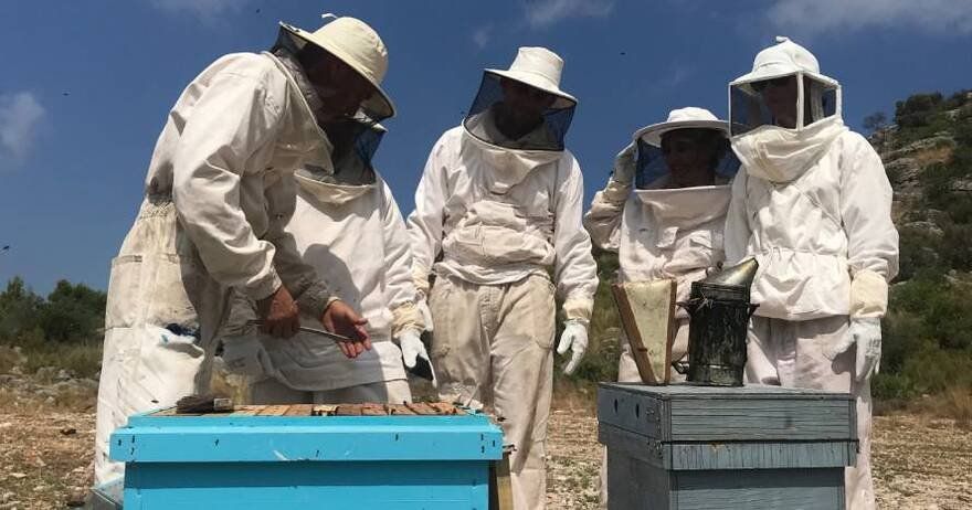 Las abejas y su miel, desde dentro