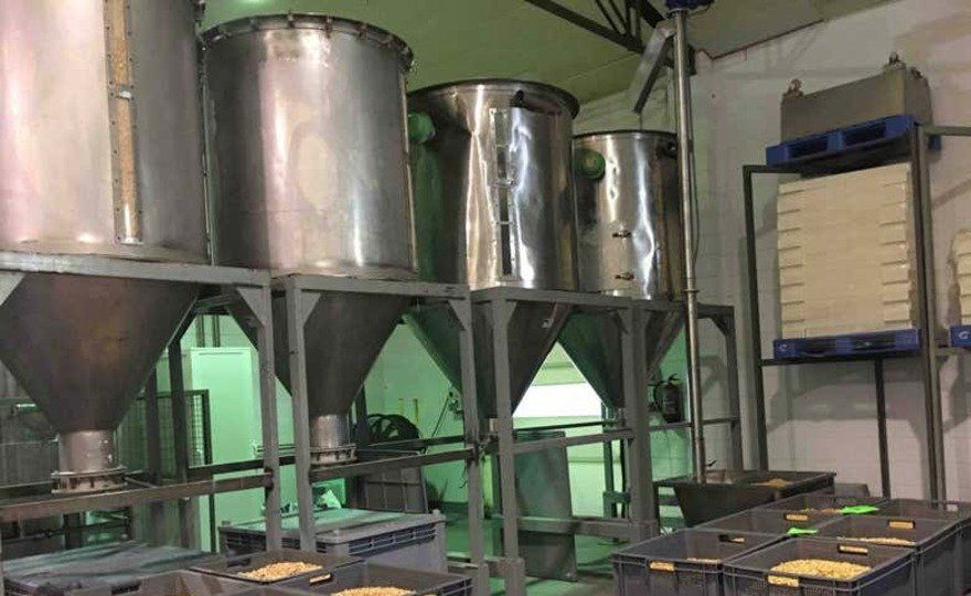 Visita a la fábrica de turrones El Artesano