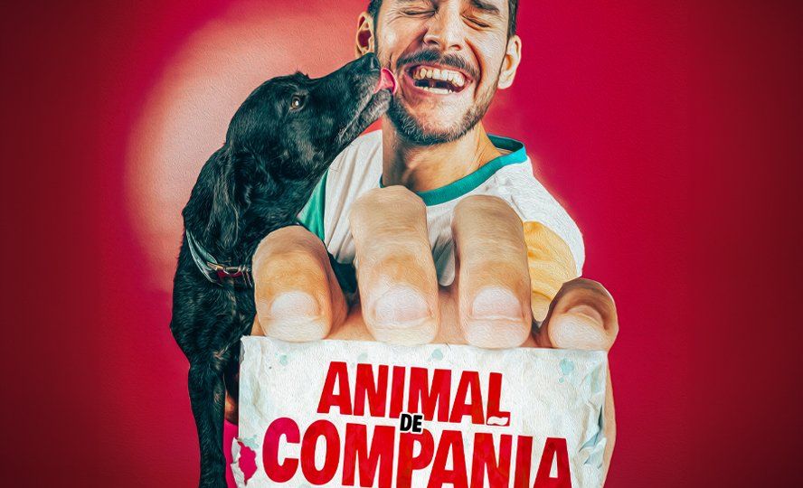 ANIMAL DE COMPAÑÍA - JORGE BOLAÑOS en IBI