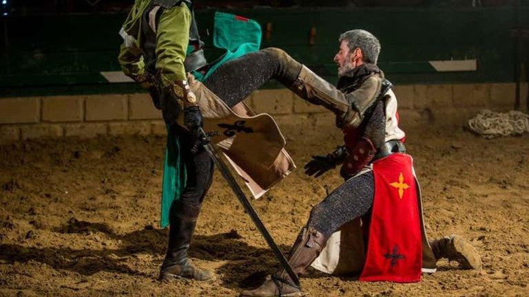 Cena con espectáculo en Magic Robin Hood