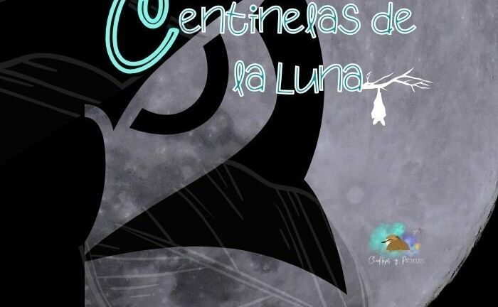 Centinelas de la Luna