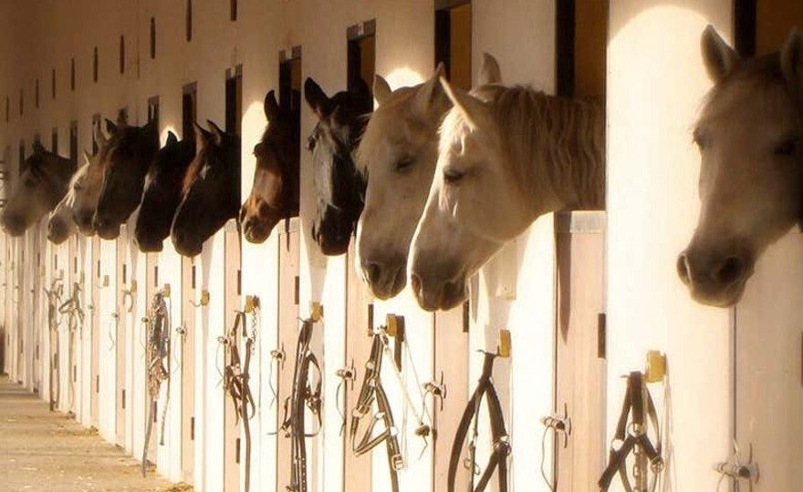 Paseo a caballo por Villajoyosa