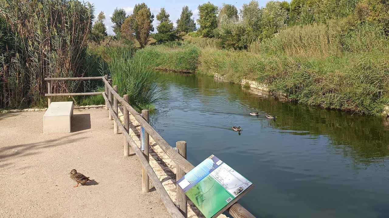 Sendero de otoño por el Museo de Aguas de Alicante, los Pozos de Garrigós y el Casco Antiguo