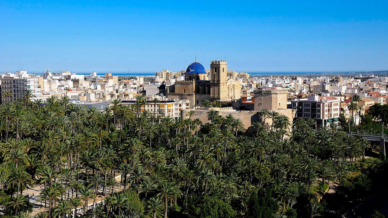Free tour por Elche para recorrer su casco antiguo y su palmeral